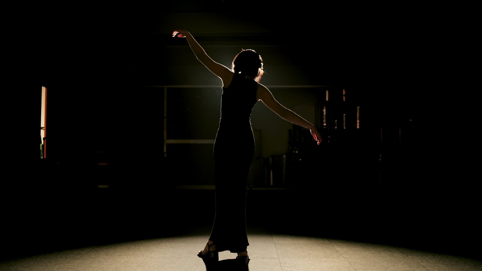 Dancer silhouetted in a single spotlight on a darkened school stage